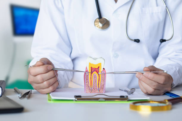 Best Emergency Tooth Extraction in Lumbine, CO